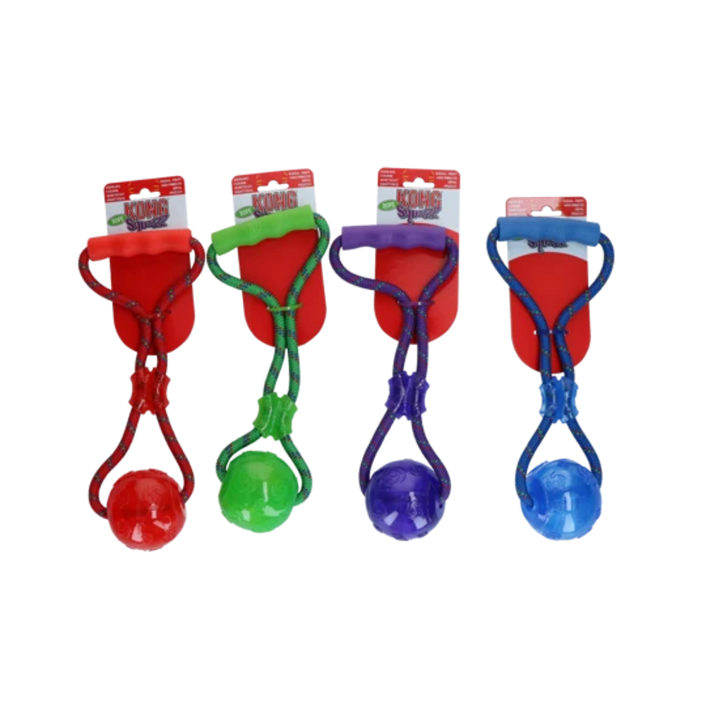 Kong ball 2025 with handle