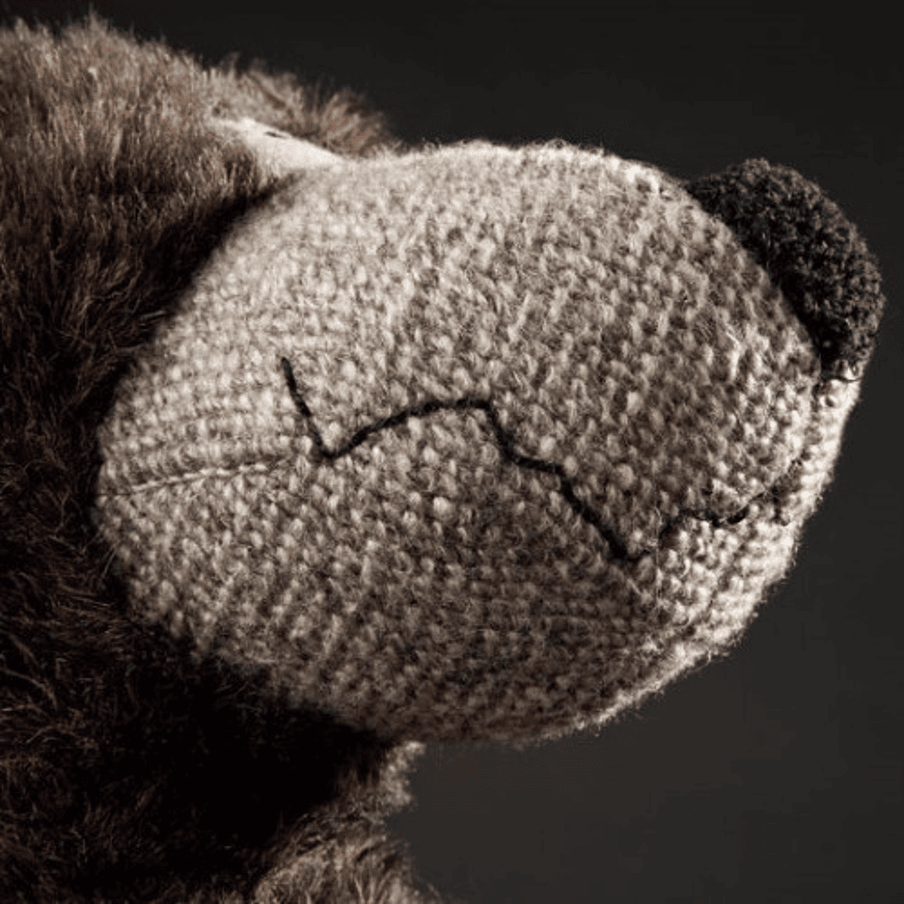 sigikid - Beasts, Bonsai Bear - Binnenspeelgoed - Toys4kids