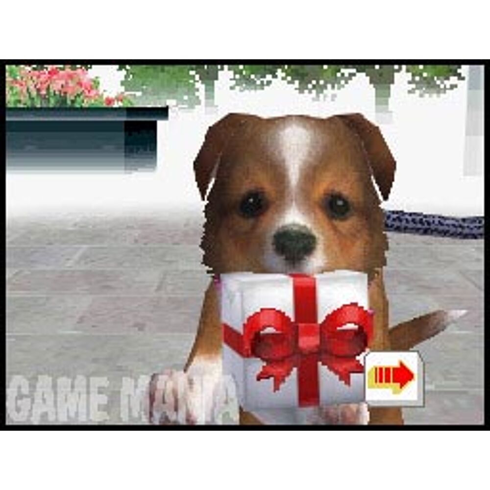Nintendogs ds hotsell