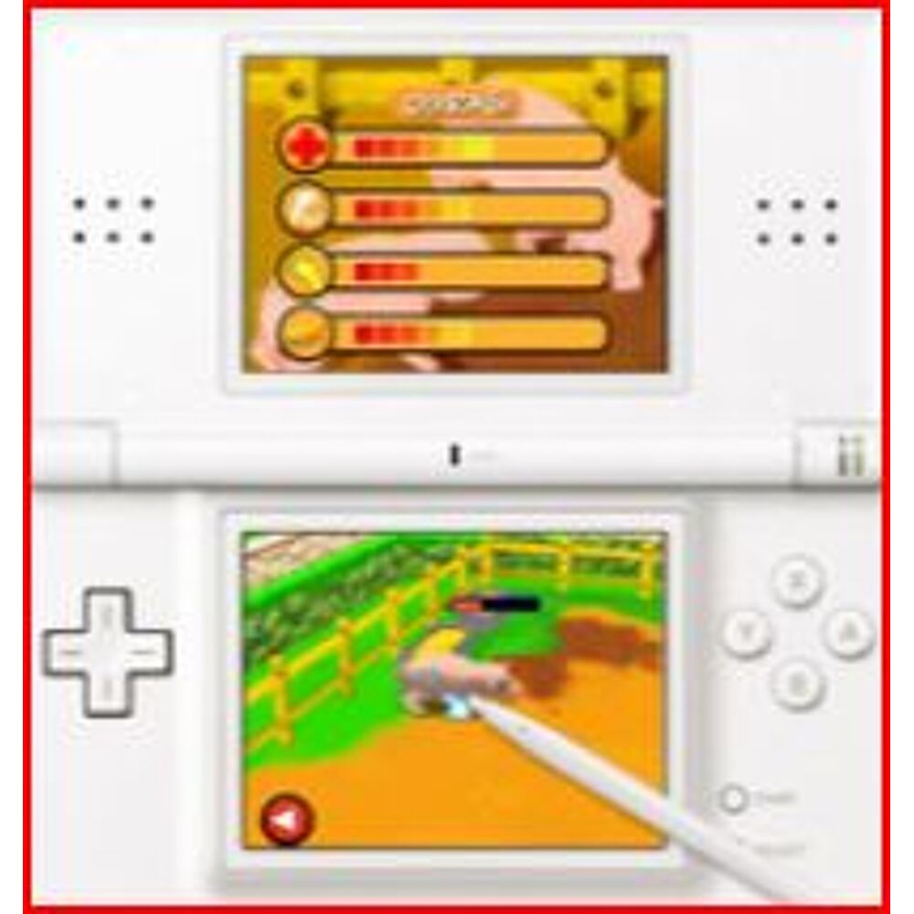 Passie - Dierenarts - Nintendo DS | Game Mania