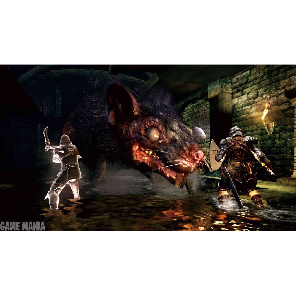 Beschikbaar feedback veerboot Dark Souls - PlayStation 3 | Game Mania