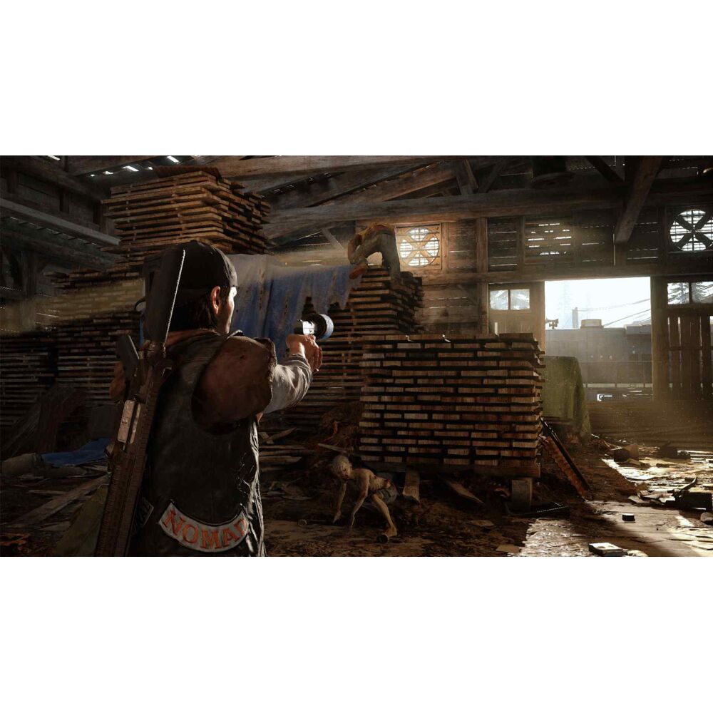 Days gone collector's 2025 edition price