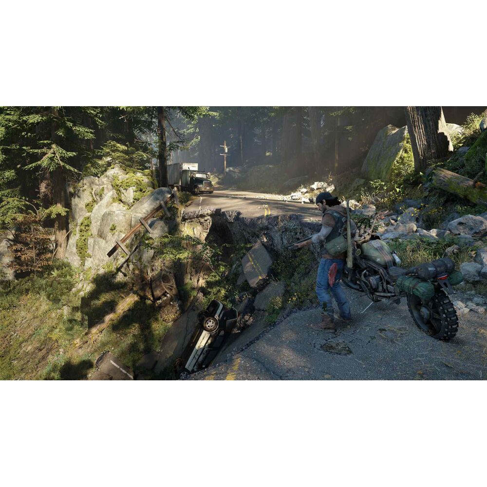 Days Gone Collector's Edition - PlayStation 4