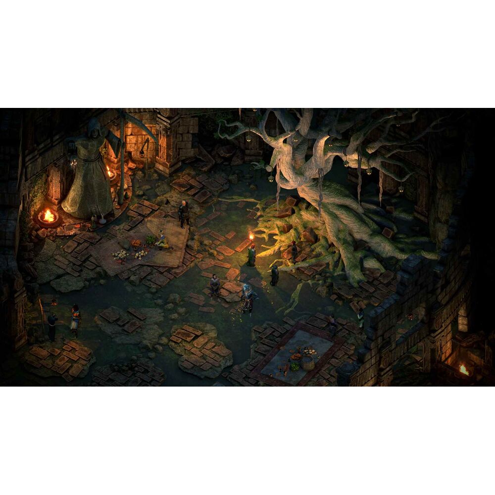 Pillars of store eternity 2 switch