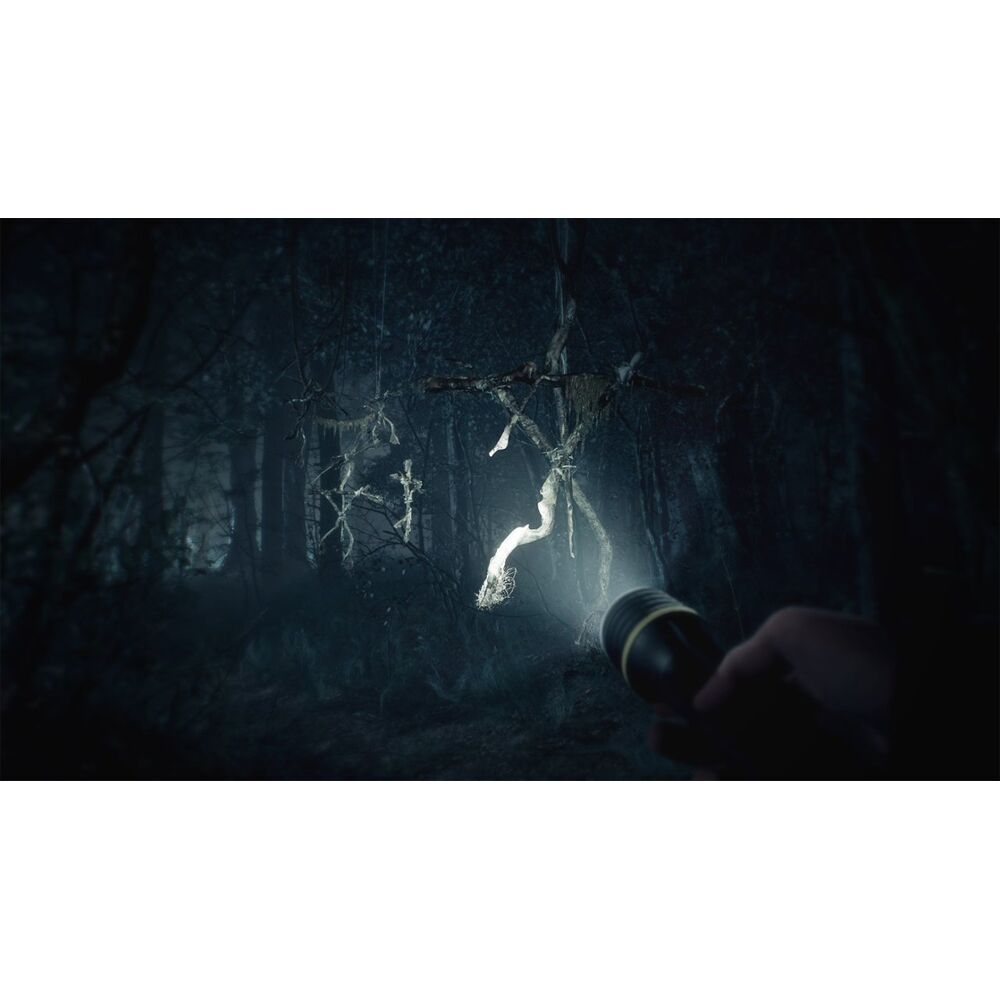 Blair witch best sale game ps4