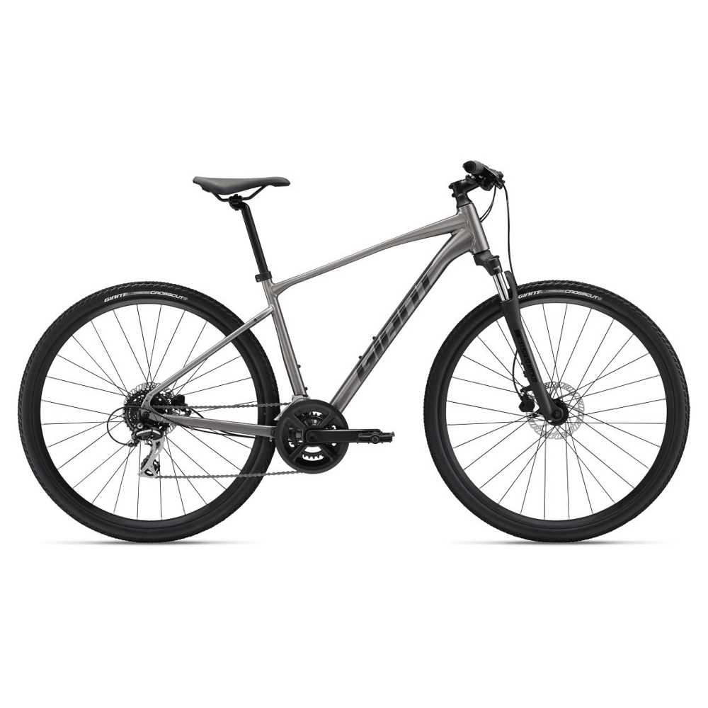Vélo Vtt Giant Roam Roam Disc