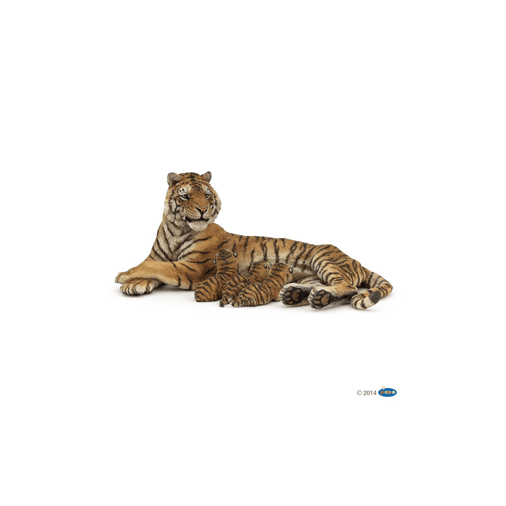 Liggende Tijger Met Welpjes
