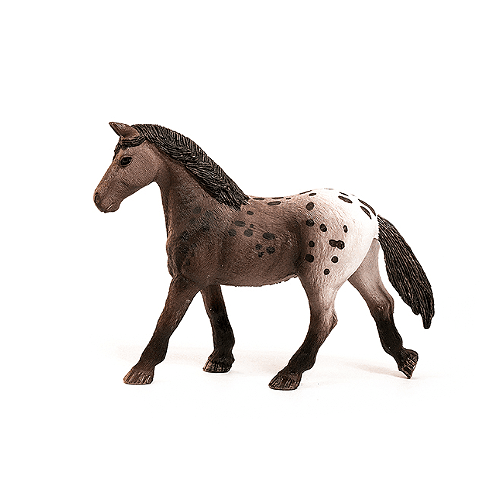 schleich appaloosa