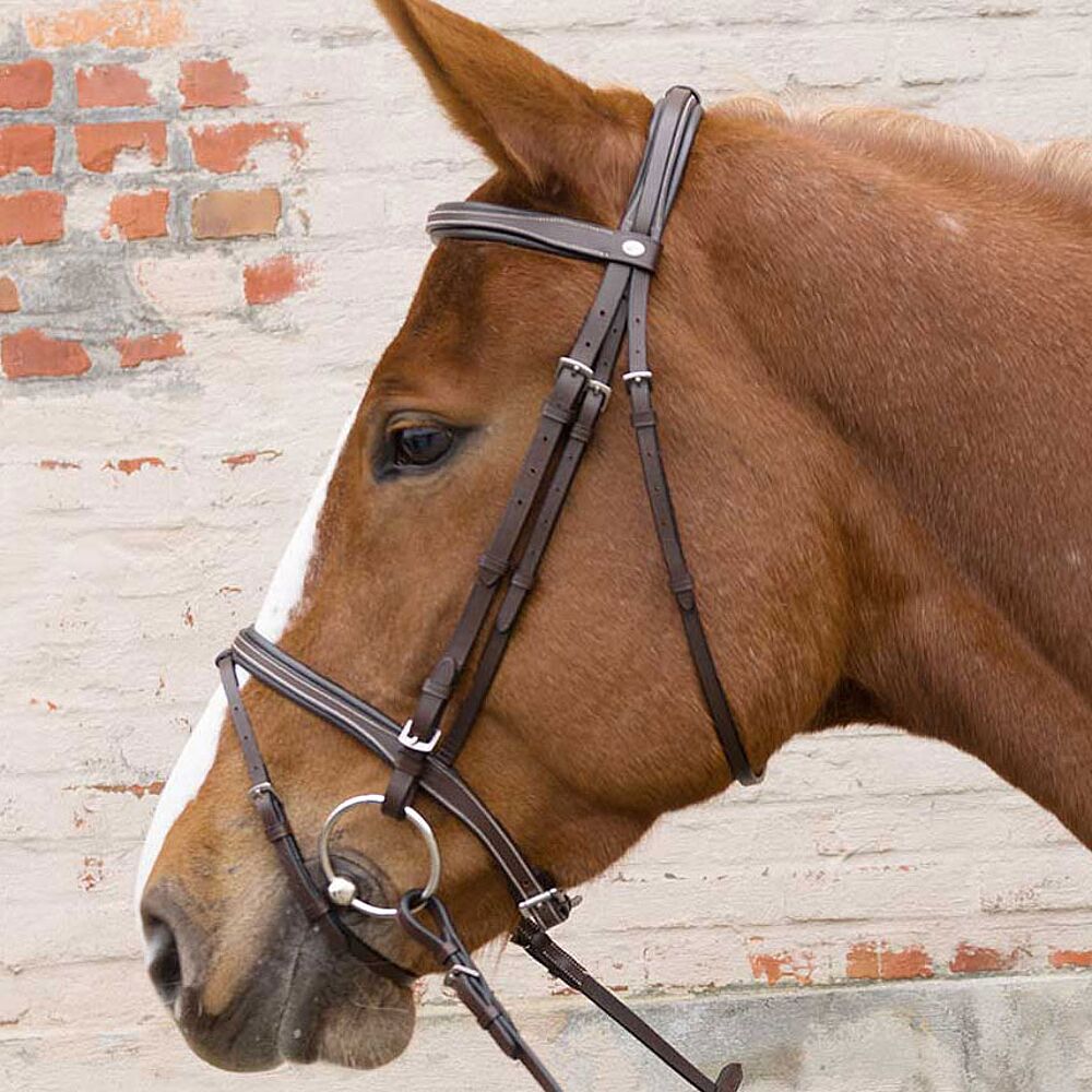 Lamicell Flash Noseband Bridle Barry - Emmers Equestrian