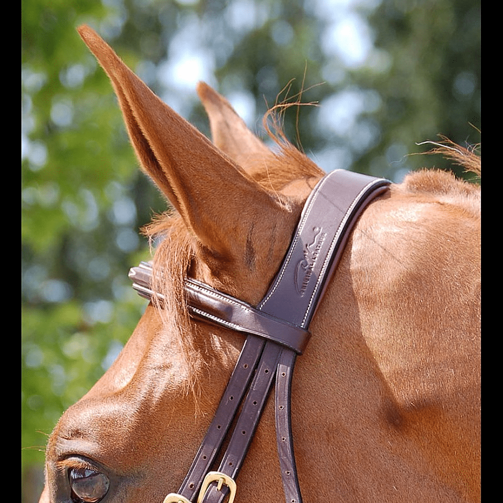 Dy'on Flash Noseband Bridle Emmers Equestrian