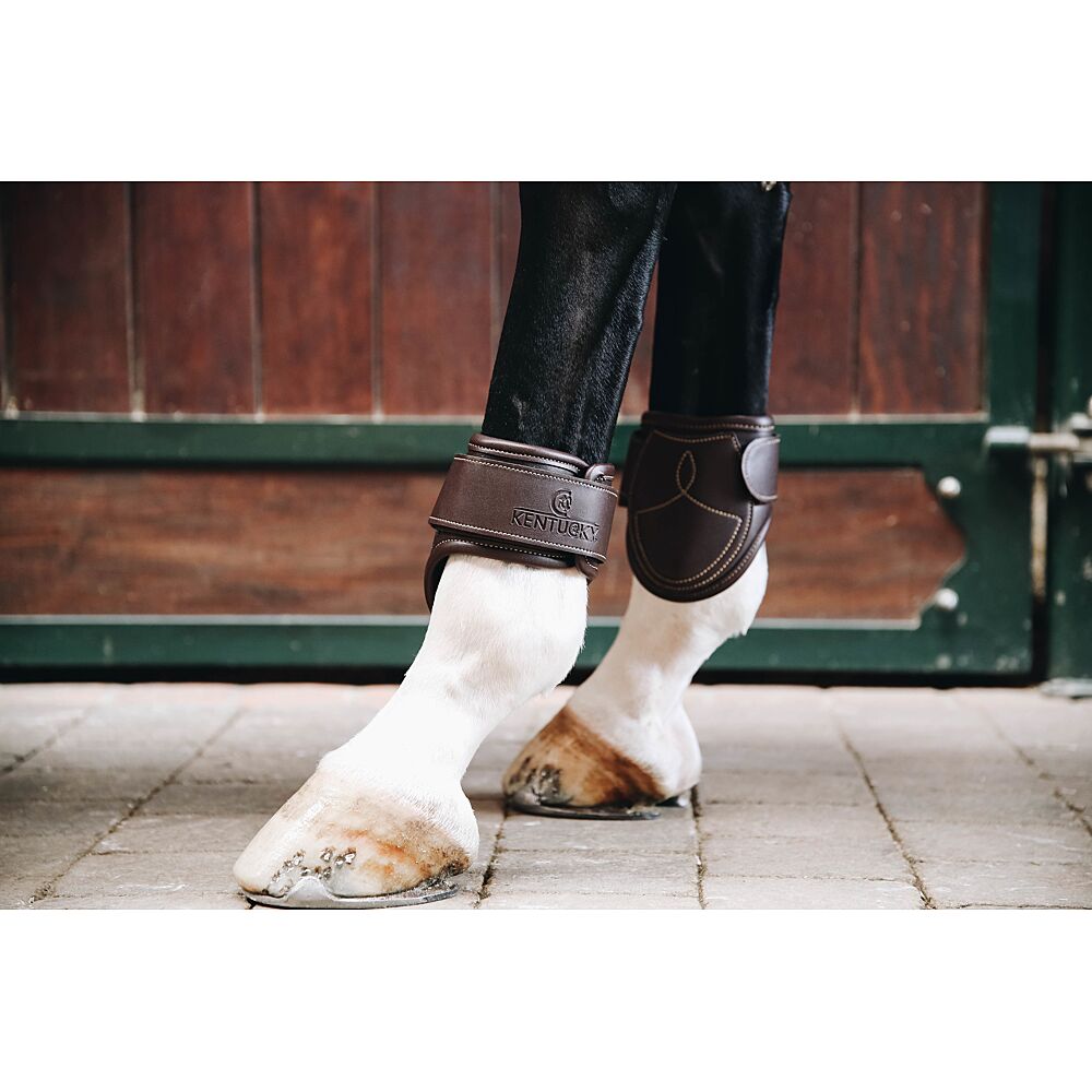 leather fetlock boots