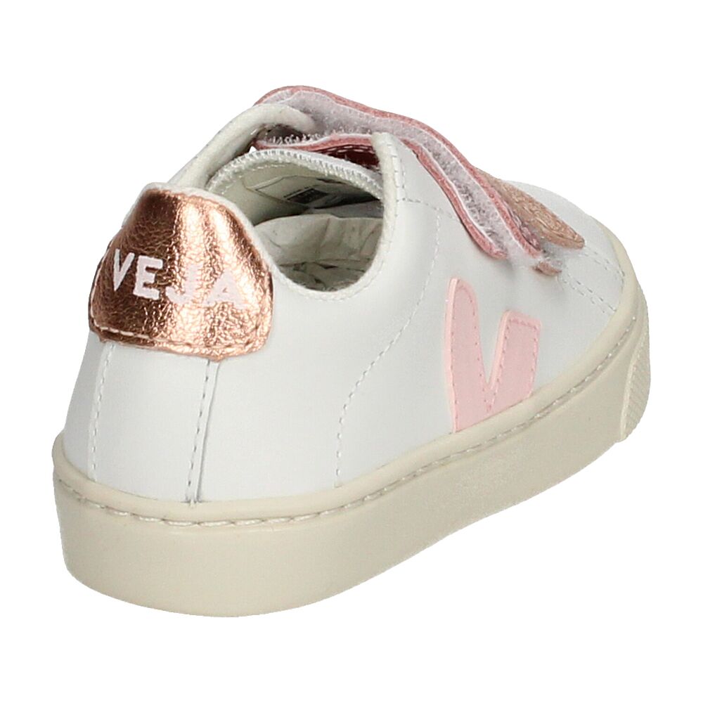 esplar velcro