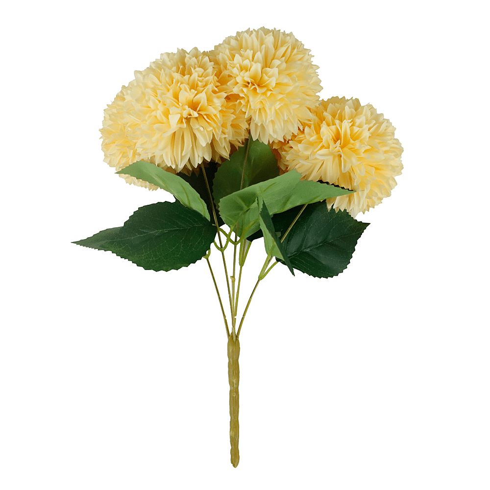 ava Allium Champagne 5 Bloemen 45cm