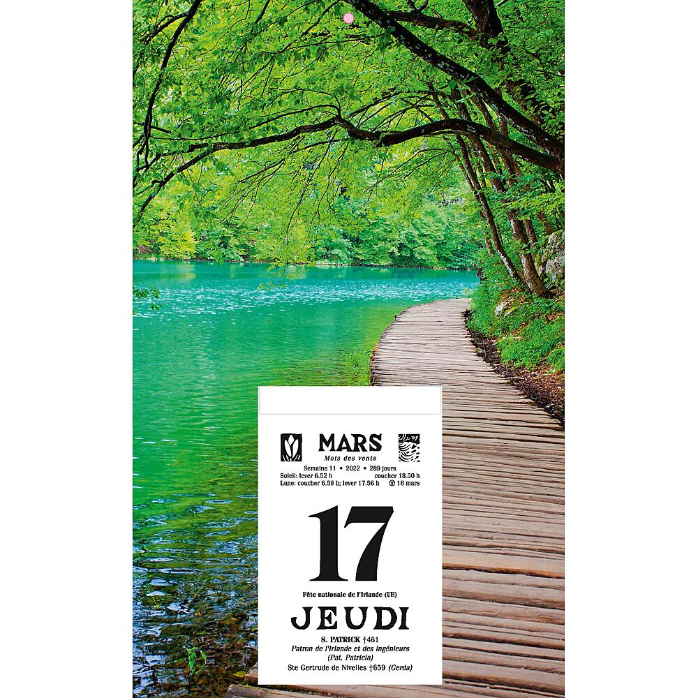 Scheurkalender Le FR + Rugschild - Agenda's kalenders - AVA.be