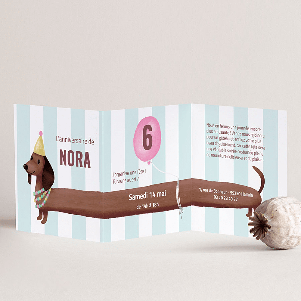 ava Carte d'invitation anniversaire humoristique chien