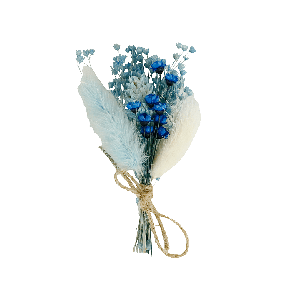 ava Droogboeket Blauw 10cm 6 Stuks
