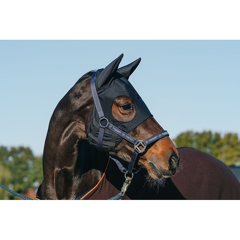 Fenwick Titanium mask with ears - Emmers Equestrian
