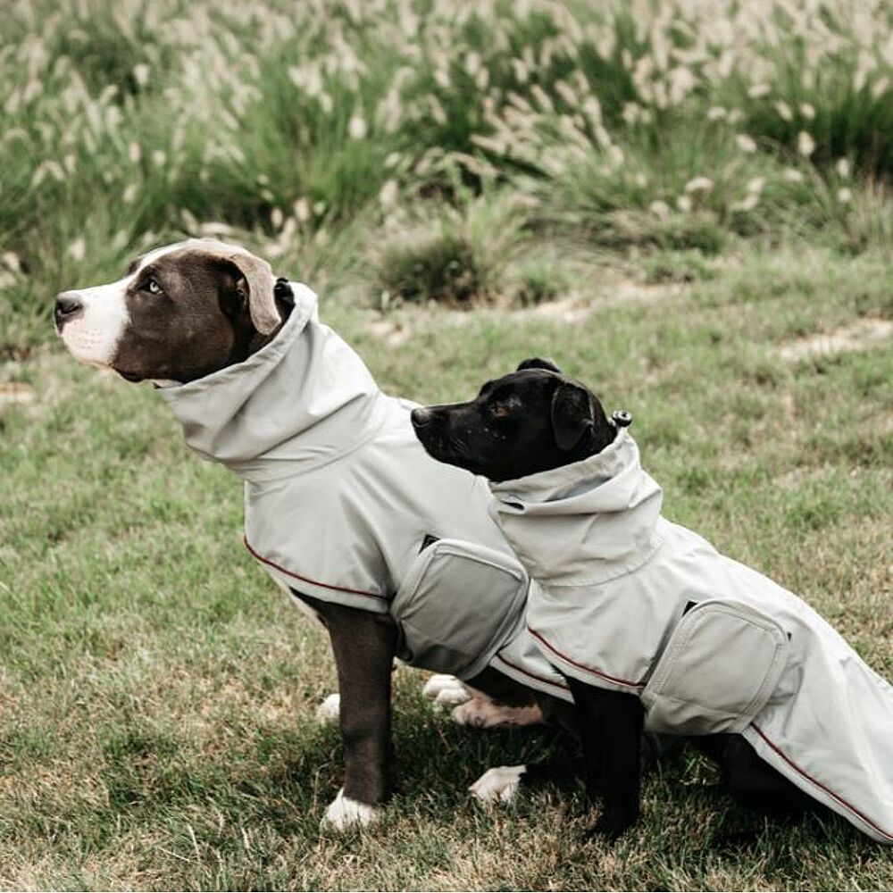 Commandez en ligne Serviette pour chien Kentucky Dogwear