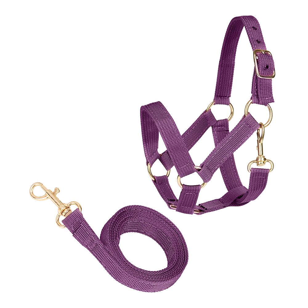 Cheval Roi Hobbyhorse Halter + Lead Rope | Emmers Equestrian