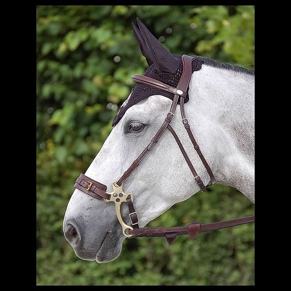 Dy'on Hackamore - Emmers Equestrian