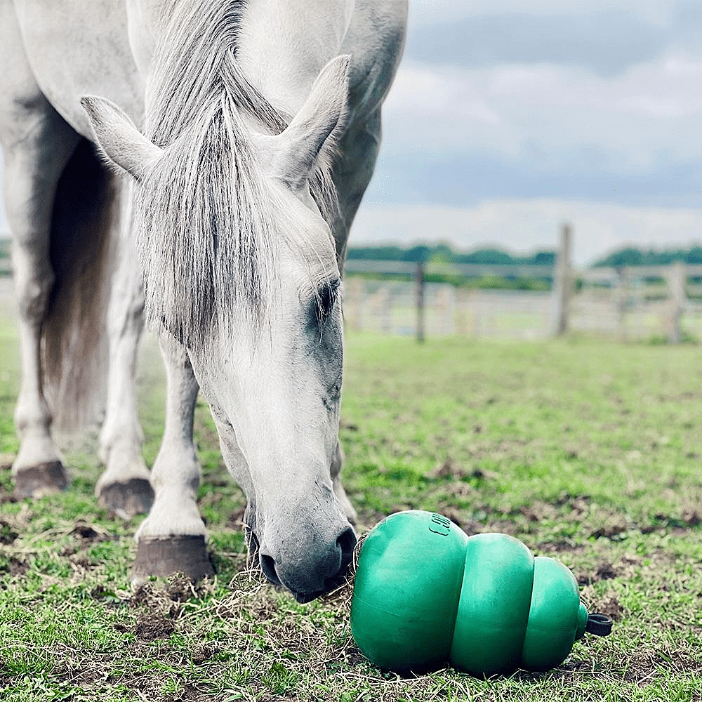 Kong Equine Classic Standaard 30CM