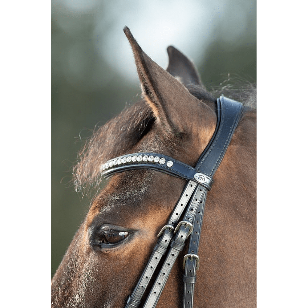 Voorwoord identificatie Uitdrukkelijk HFI Shiny Hoofdstel - Paard - Emmers Equestrian