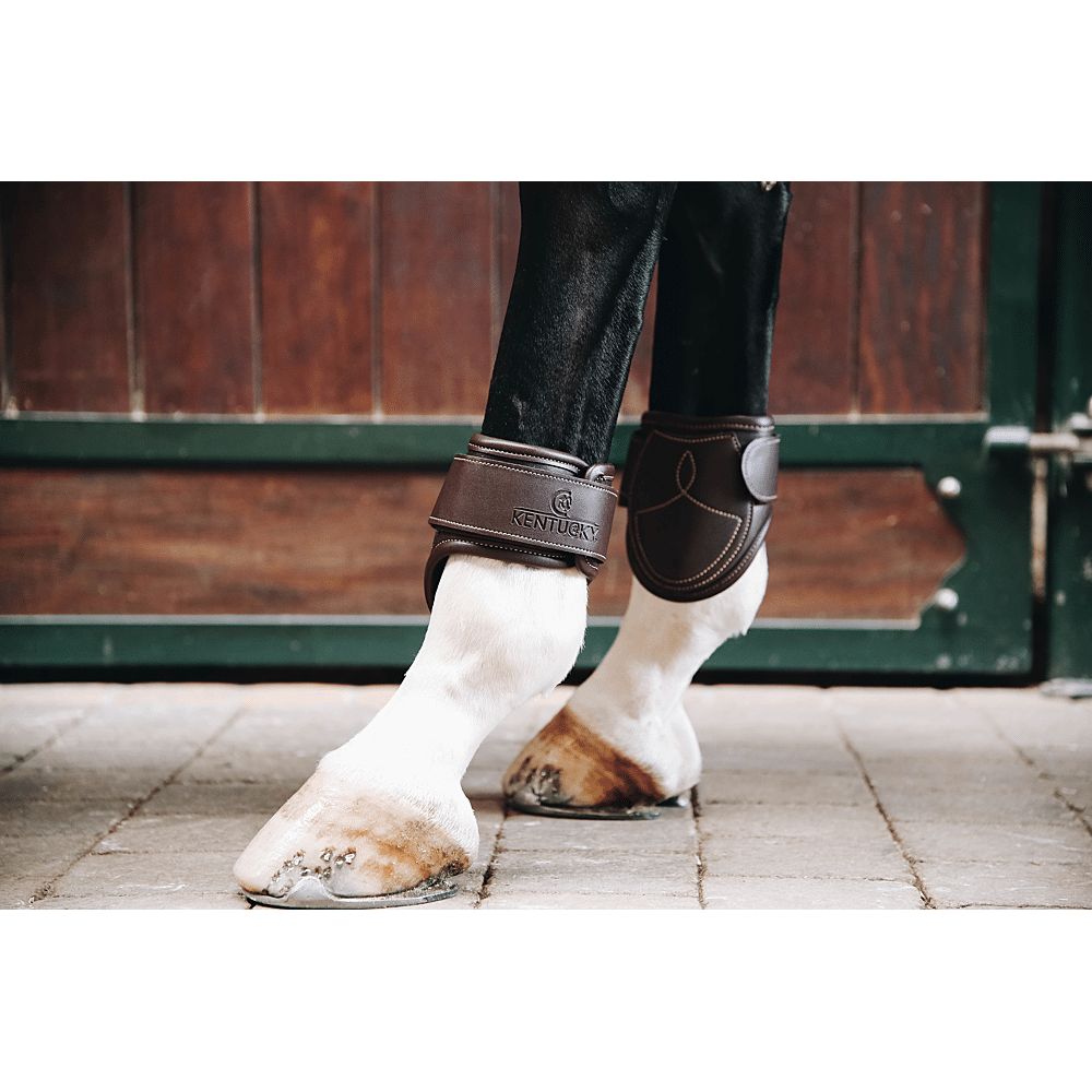 leather fetlock boots