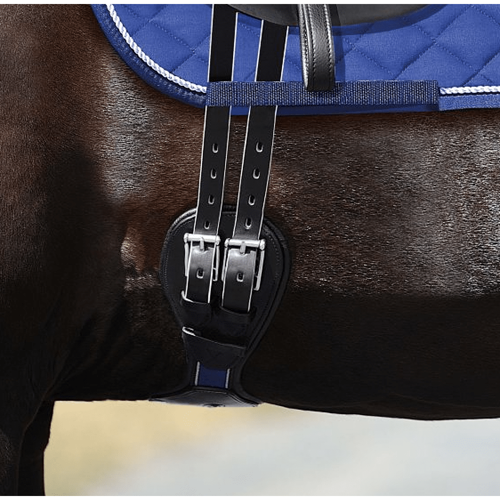 Sangle anatomique en cuir - dressage - EDIX