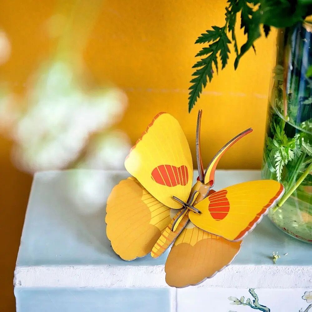 Décoration murale à monter soi-même : Poisson Butterfly