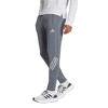 Onix/Reflective Silver
