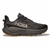 AYV - Asphalt Grey/Varsity Yellow