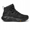 Black/Black