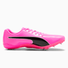 03 - Poison Pink-Sun Stream-Puma Black