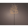 N/A