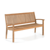 Teak 