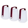 Cerise Noire