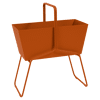 Orange Confite