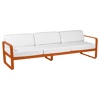 Orange Confite