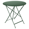 Vert Cèdre