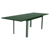 Vert Cèdre