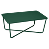 Vert Cèdre