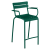 Vert Cèdre