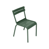 Vert Cèdre