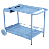 Bleu Maya