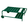 Vert Cèdre