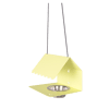 Citron Givre