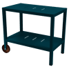 Bleu Acapulco