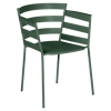 Vert Cèdre
