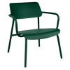 Vert Cèdre