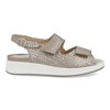 40598 champagne